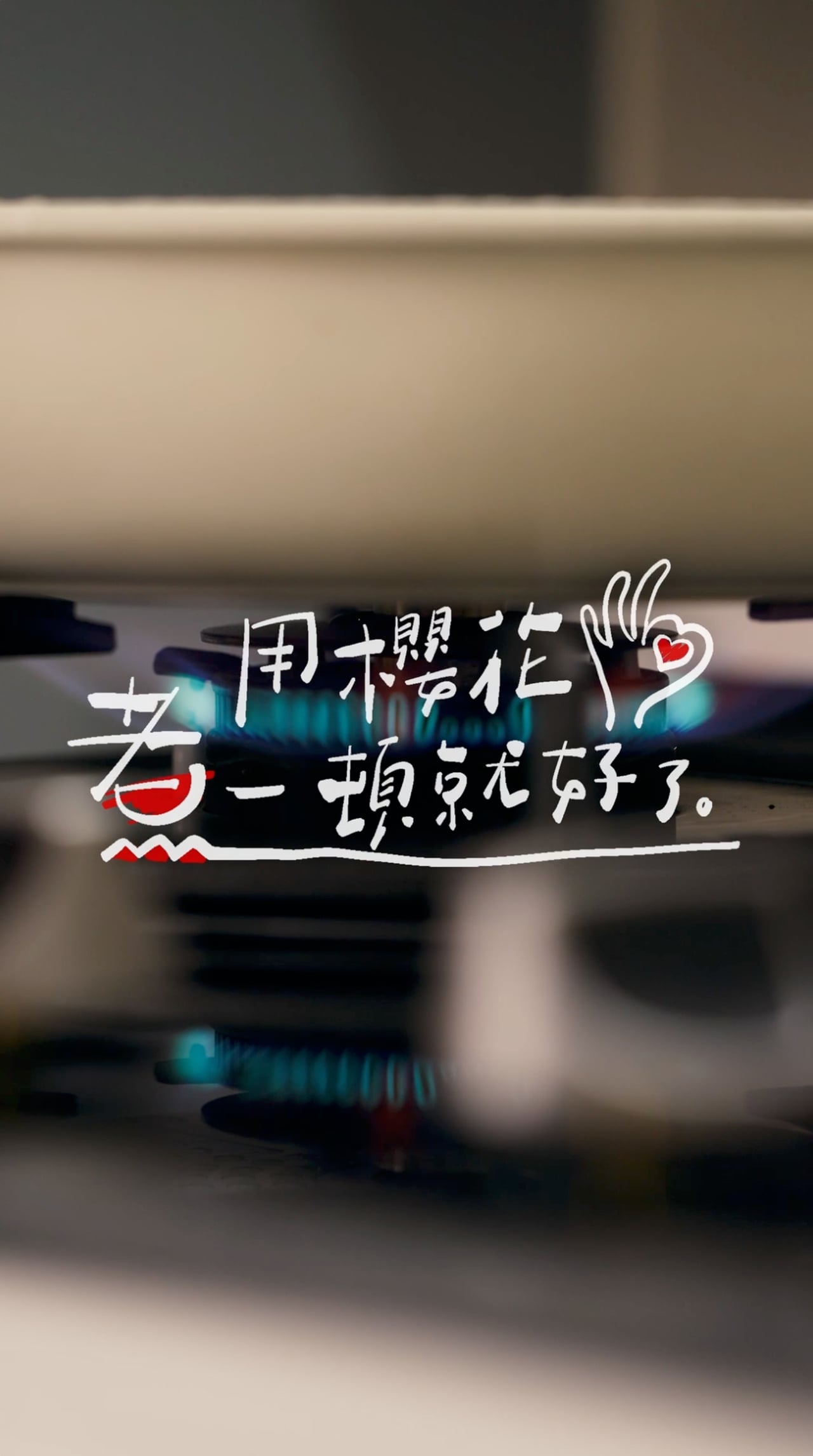 SAKURA Taiwan 用櫻花煮一頓就好了 EP12~EP16